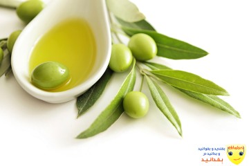 روغن زیتون اصل