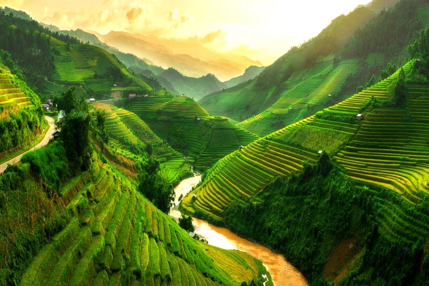 کشور ویتنام