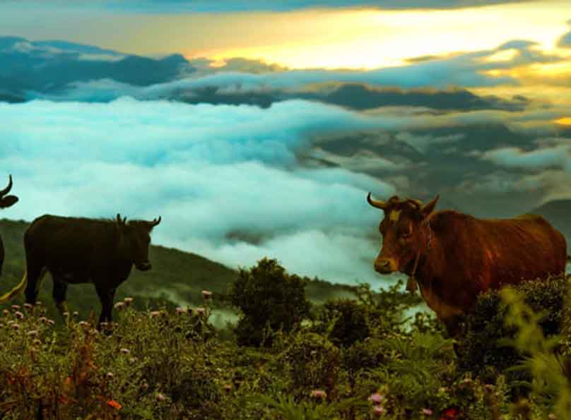 روستای فیلبند مازندران