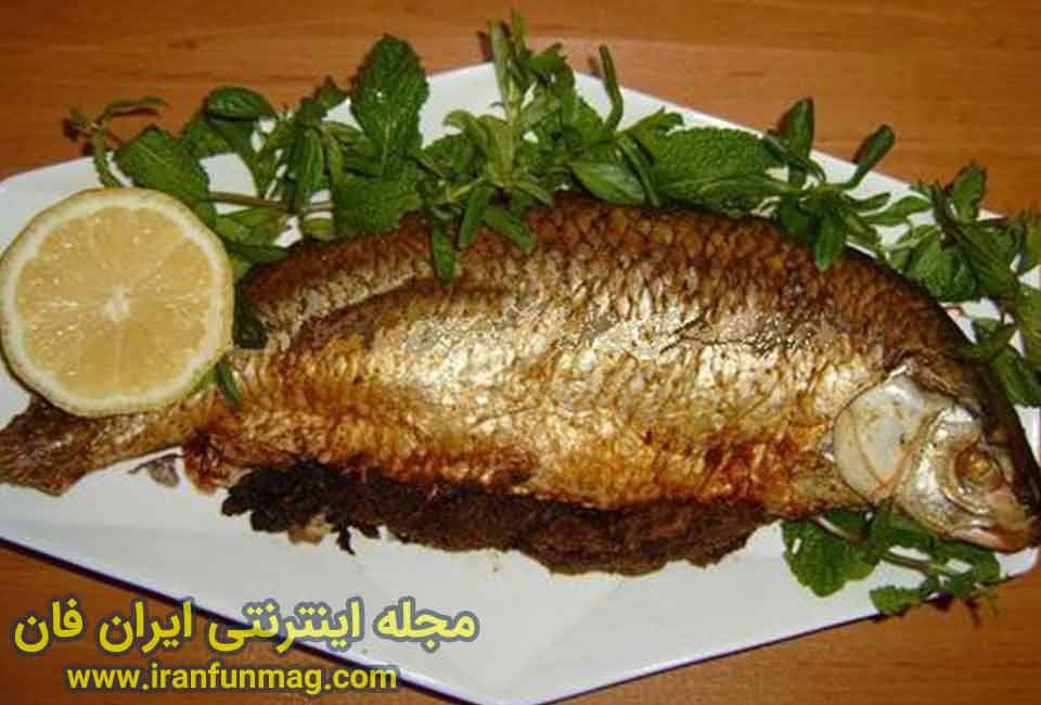 طرز تهیه‌ی دوقوس ماهی بوشهری