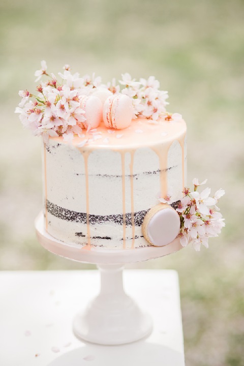 کیک  شیک  عروسی