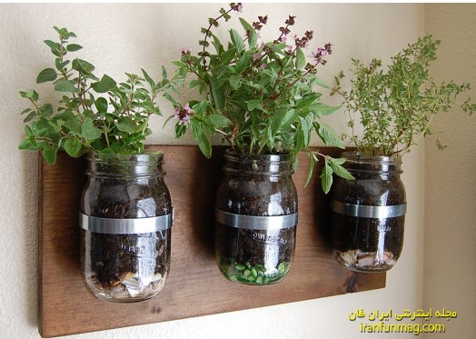 استفاده از شیشه برای کاشت گیاه