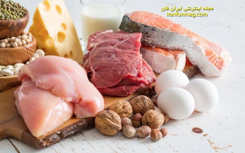سالم ترین منابع پروتئین چه چیزهایی هستند؟