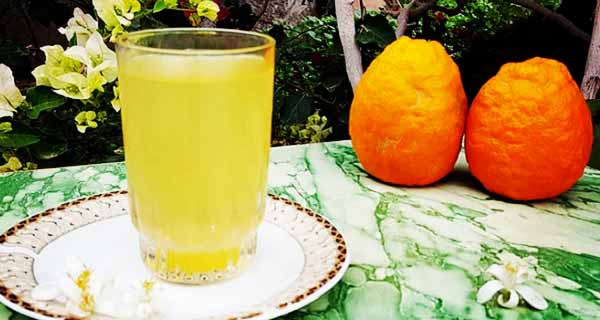How to prepare orange spring syrup