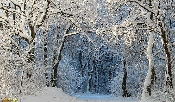 عکس زمستانی برای پروفایل