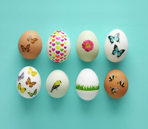  تخم مرغ رنگی عید