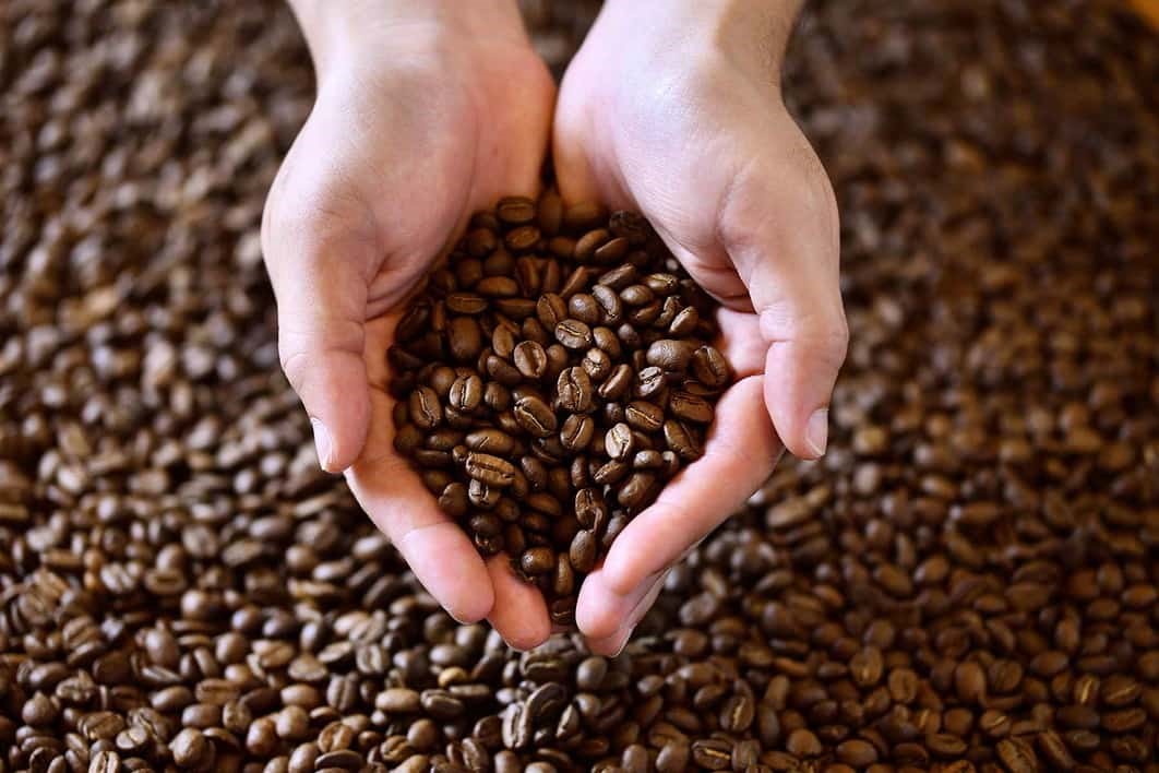 قهوه اسپشیالیتی یا قهوه تخصصی چیست؟ هر آنچه باید درباره قهوه اسپشیالیتی بدانید