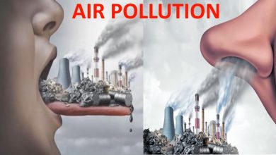 آلودگی هوا باعث بروز چه بیماری هایی میشود؟