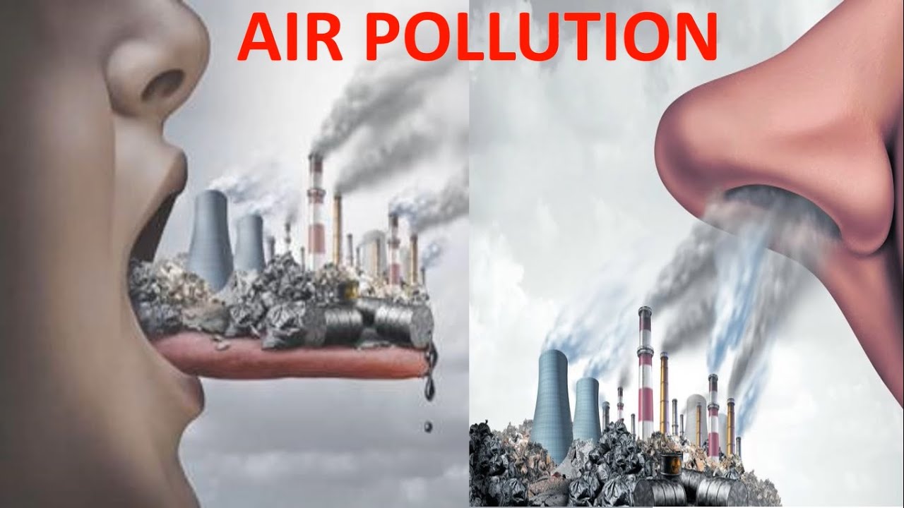 آلودگی هوا موجب چه بیماری هایی میشود؟