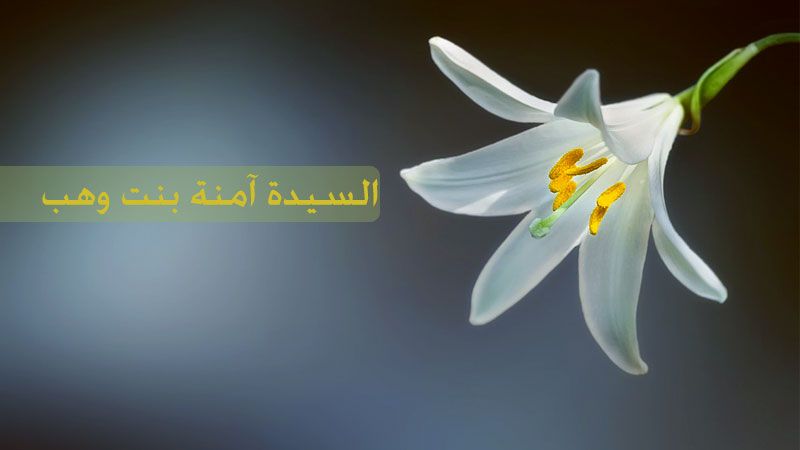 نسب و خاندان آمنه بنت وهب