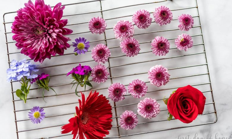 ۷ روش ساده + حرفهای خشک کردن گل طبیعی در خانه