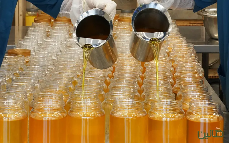 روغن حیوانی