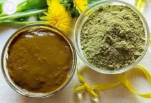 ترکیب مواد طبیعی مانند قهوه و لیمو با پودر حنا برای ایجاد رنگهای متنوع مو